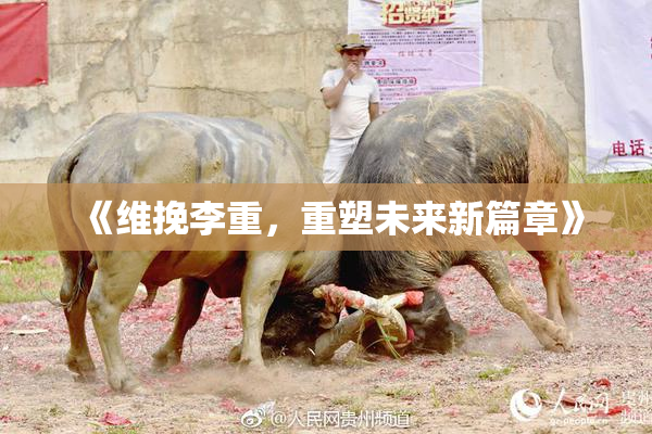 《维挽李重，重塑未来新篇章》