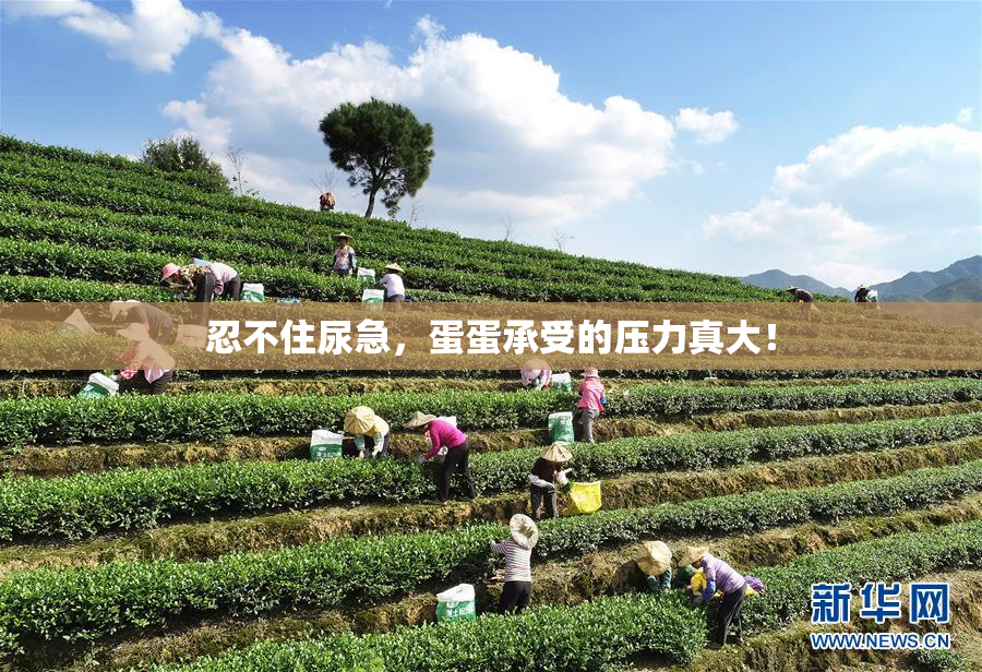 忍不住尿急，蛋蛋承受的压力真大！