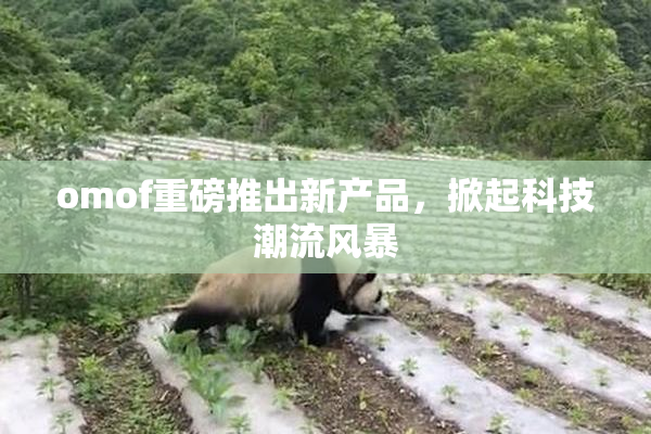 omof重磅推出新产品，掀起科技潮流风暴