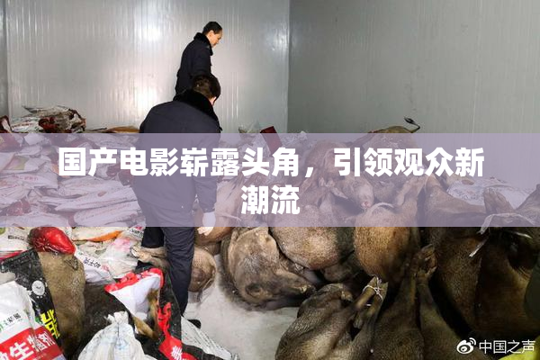 国产电影崭露头角，引领观众新潮流