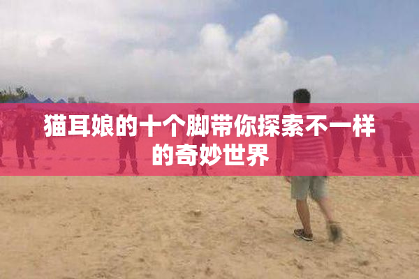 猫耳娘的十个脚带你探索不一样的奇妙世界