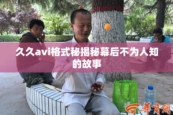 久久avi格式秘揭秘幕后不为人知的故事