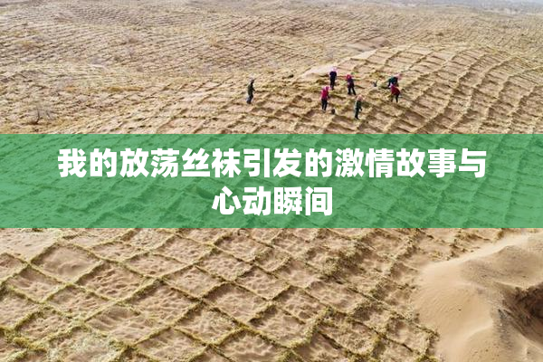 我的放荡丝袜引发的激情故事与心动瞬间