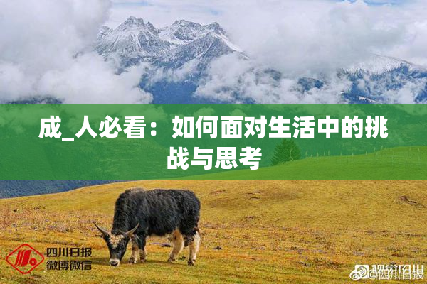 成_人必看：如何面对生活中的挑战与思考