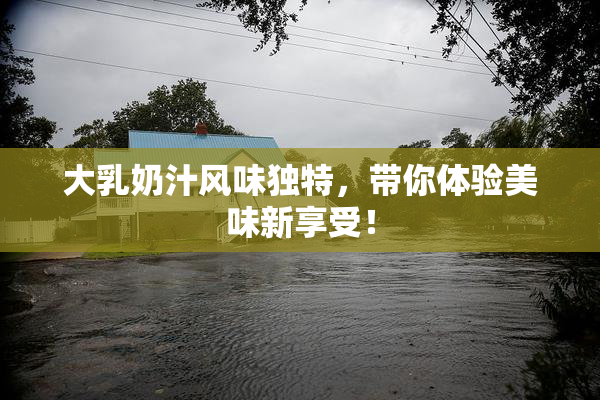 大乳奶汁风味独特，带你体验美味新享受！