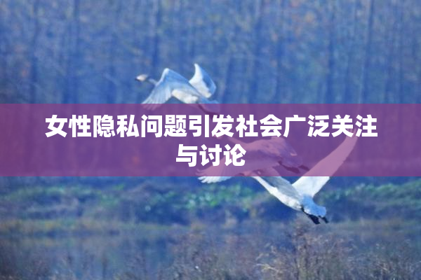 女性隐私问题引发社会广泛关注与讨论