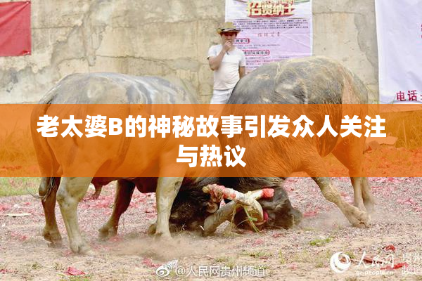 老太婆B的神秘故事引发众人关注与热议