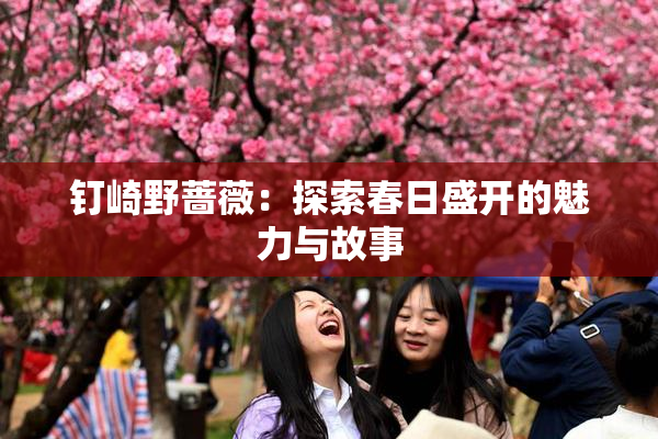 钉崎野蔷薇：探索春日盛开的魅力与故事