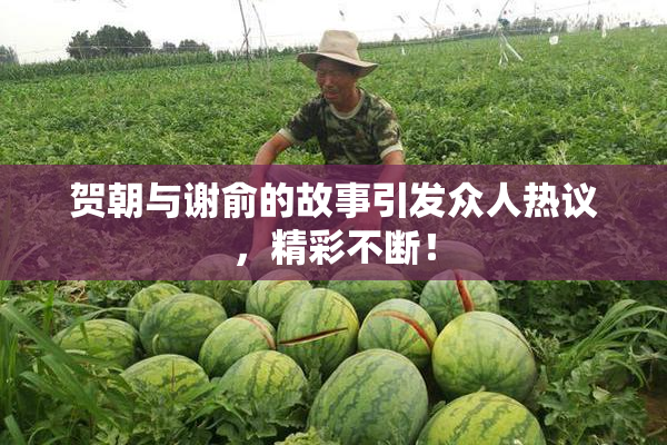 贺朝与谢俞的故事引发众人热议，精彩不断！