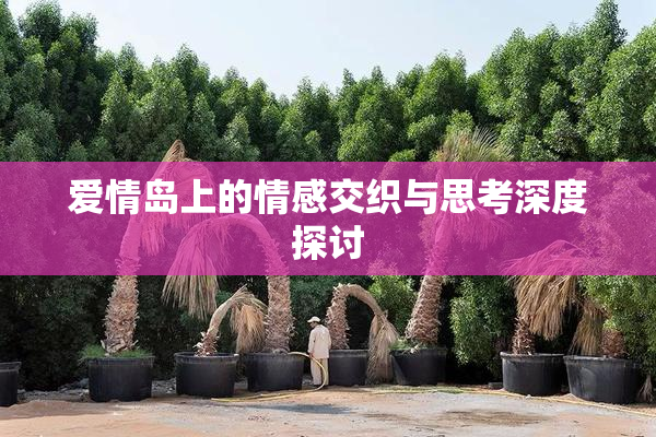 爱情岛上的情感交织与思考深度探讨
