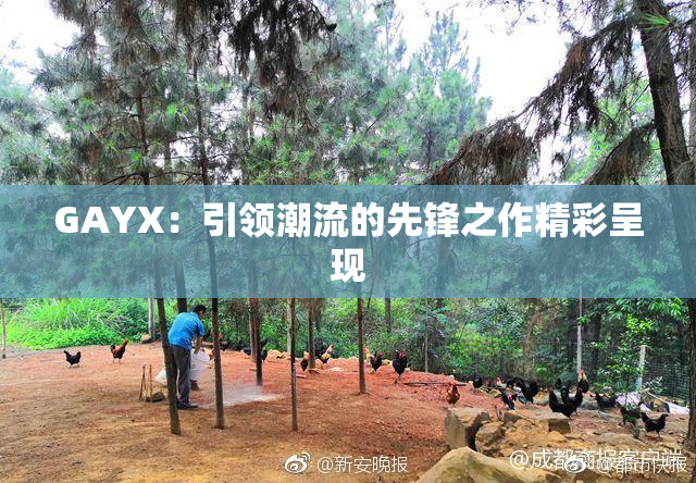 GAYX：引领潮流的先锋之作精彩呈现