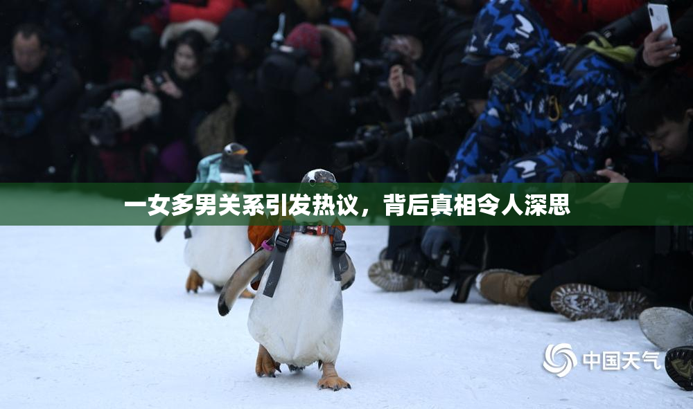 一女多男关系引发热议，背后真相令人深思