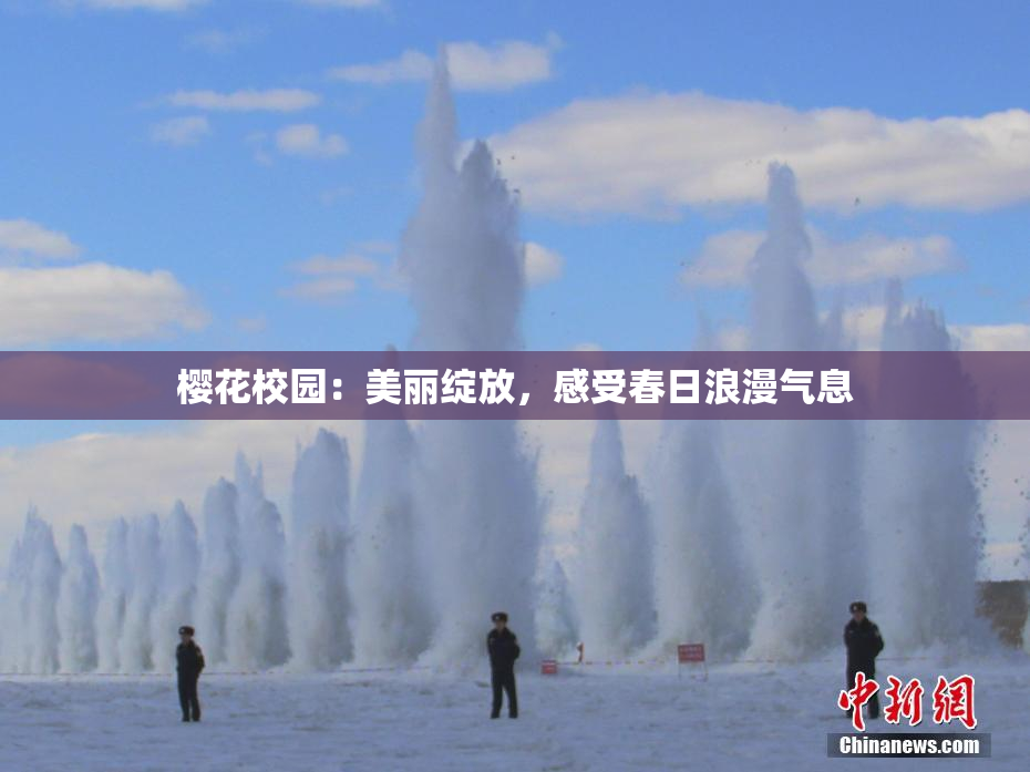 樱花校园：美丽绽放，感受春日浪漫气息