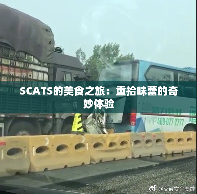 SCATS的美食之旅：重拾味蕾的奇妙体验