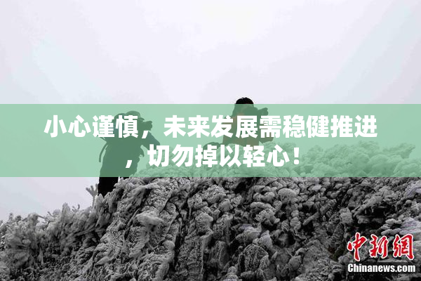 小心谨慎，未来发展需稳健推进，切勿掉以轻心！