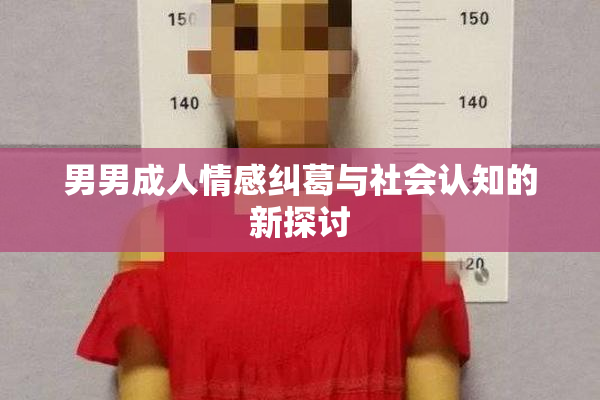 男男成人情感纠葛与社会认知的新探讨