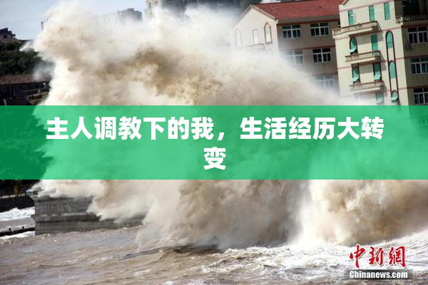 主人调教下的我，生活经历大转变