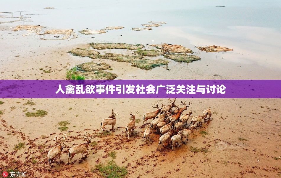 人禽乱欲事件引发社会广泛关注与讨论