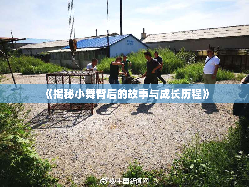 《揭秘小舞背后的故事与成长历程》