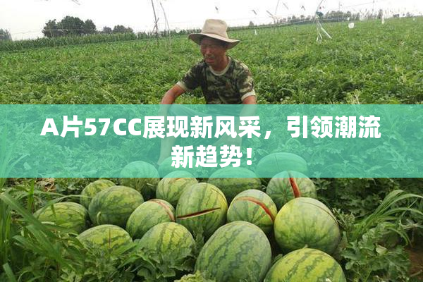 A片57CC展现新风采，引领潮流新趋势！