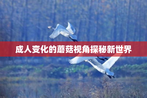 成人变化的蘑菇视角探秘新世界