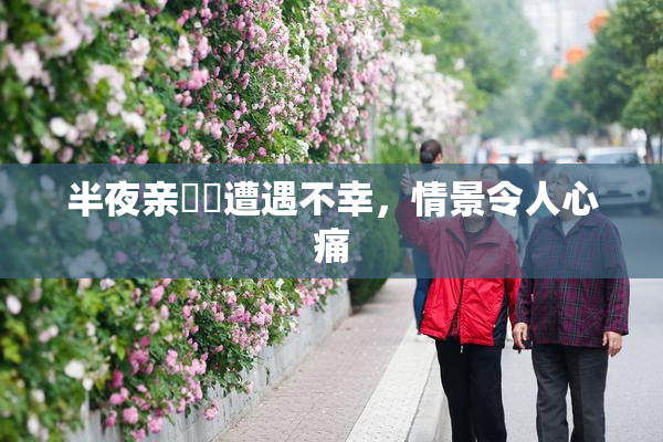 半夜亲妺妺遭遇不幸，情景令人心痛