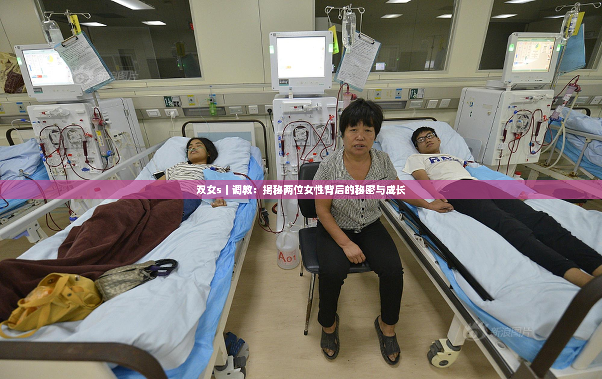 双女s丨调教：揭秘两位女性背后的秘密与成长
