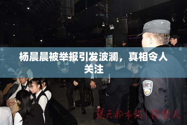 杨晨晨被举报引发波澜，真相令人关注