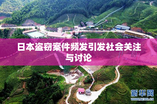 日本盗窃案件频发引发社会关注与讨论