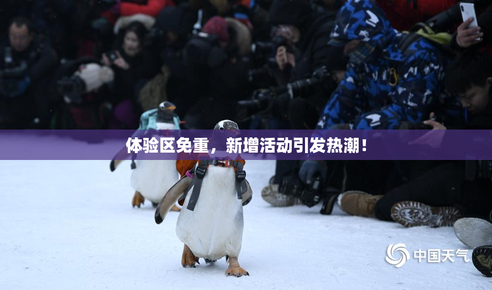 体验区免重，新增活动引发热潮！
