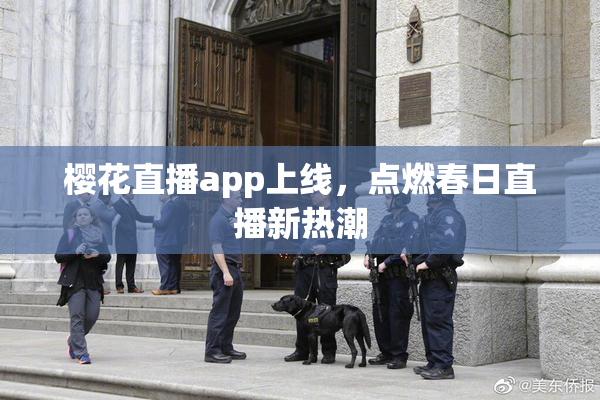樱花直播app上线，点燃春日直播新热潮