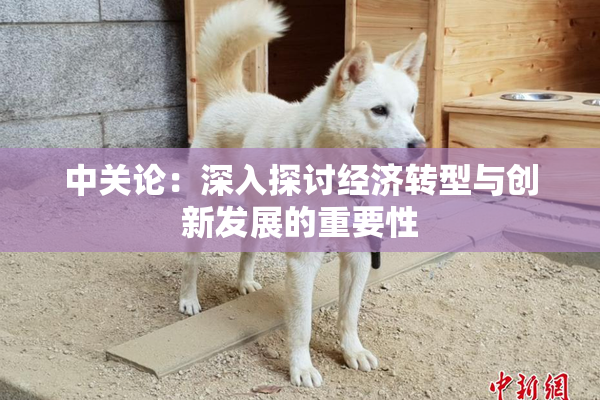 中关论：深入探讨经济转型与创新发展的重要性