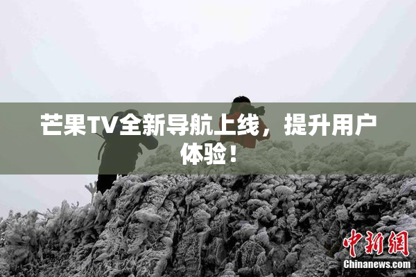 芒果TV全新导航上线，提升用户体验！
