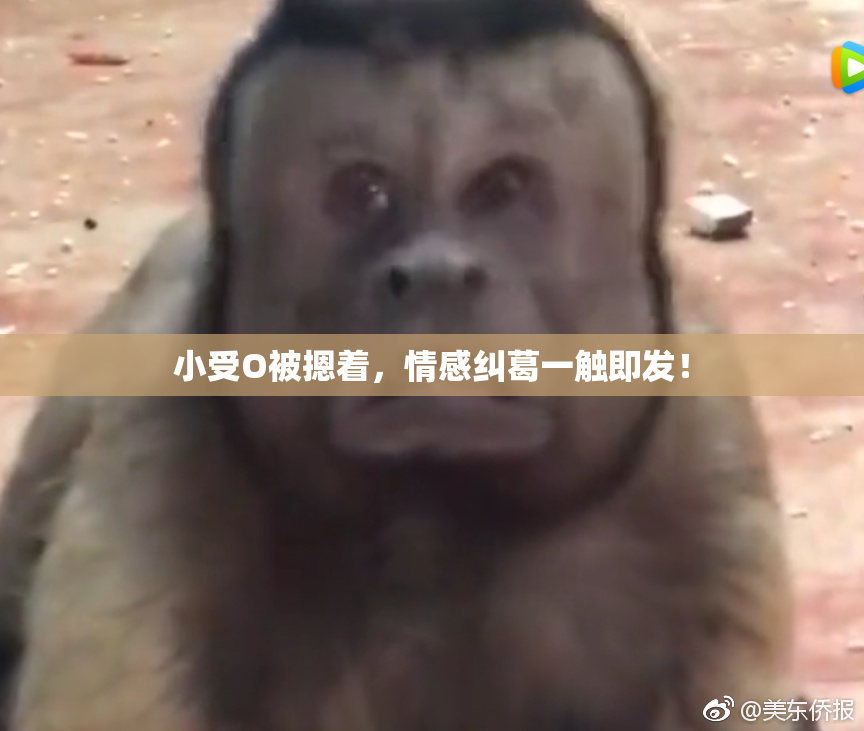 小受O被摁着，情感纠葛一触即发！