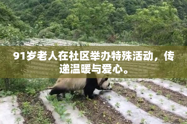 91岁老人在社区举办特殊活动，传递温暖与爱心。