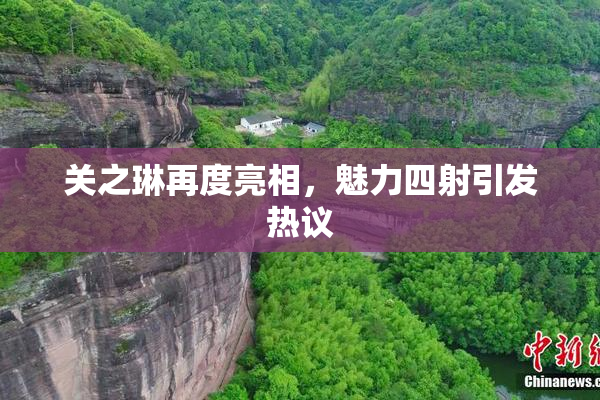 关之琳再度亮相，魅力四射引发热议