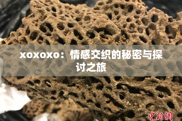 xoxoxo：情感交织的秘密与探讨之旅