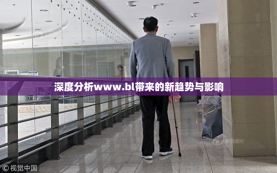 深度分析www.bl带来的新趋势与影响