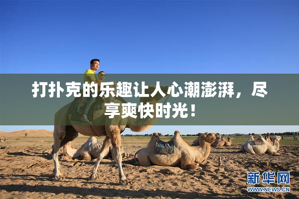 打扑克的乐趣让人心潮澎湃，尽享爽快时光！