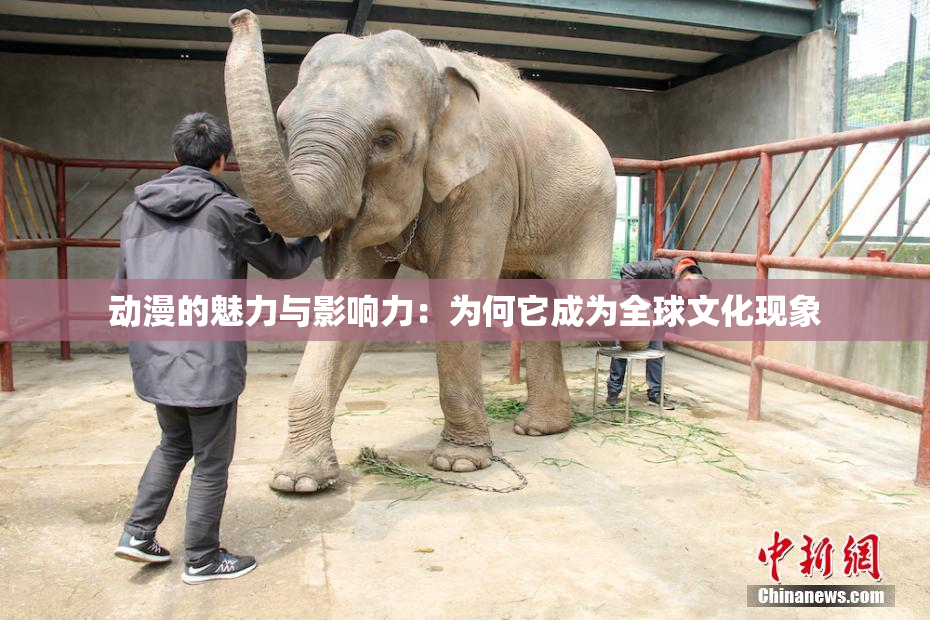 动漫的魅力与影响力：为何它成为全球文化现象