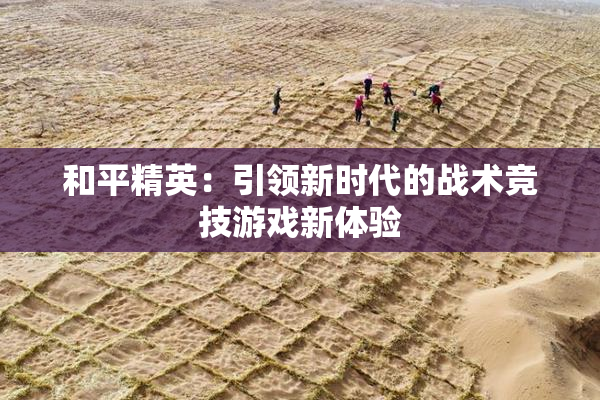 和平精英：引领新时代的战术竞技游戏新体验