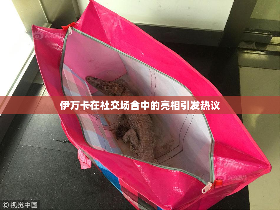 伊万卡在社交场合中的亮相引发热议