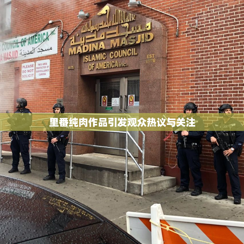里番纯肉作品引发观众热议与关注