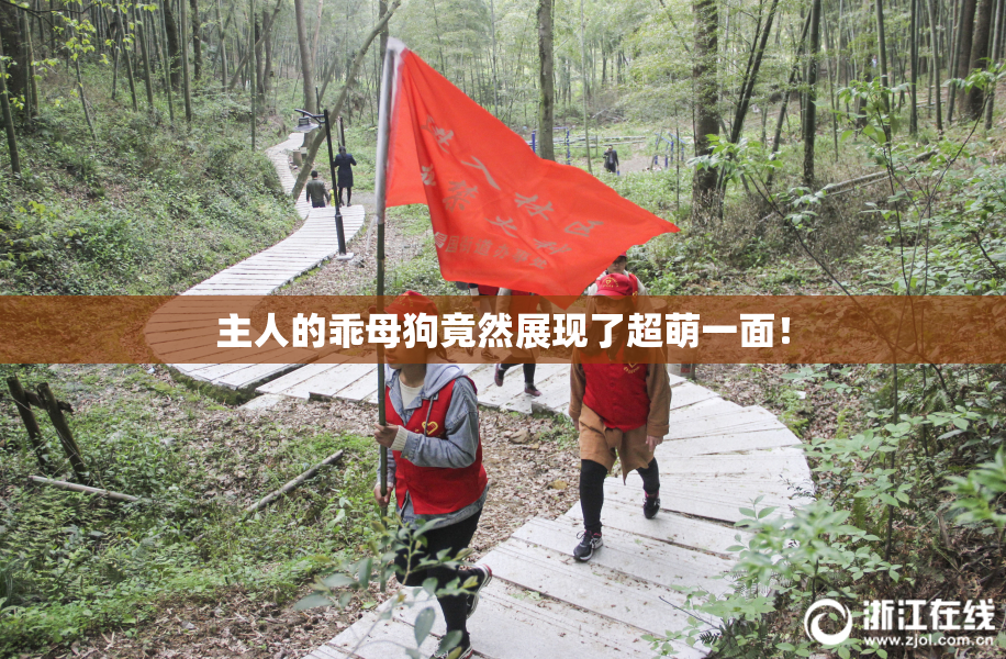 主人的乖母狗竟然展现了超萌一面！