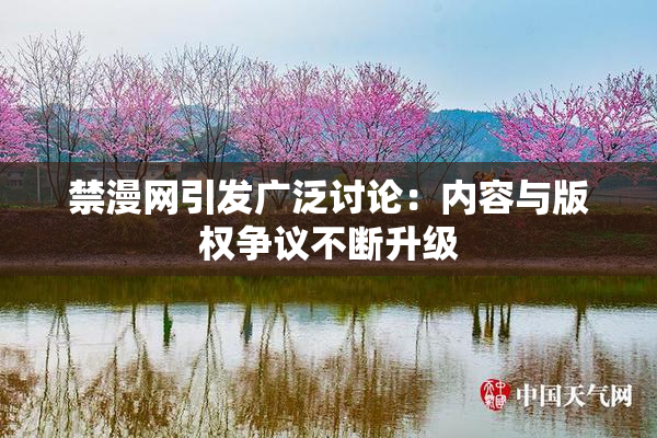 禁漫网引发广泛讨论：内容与版权争议不断升级