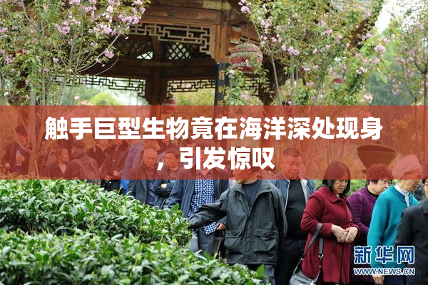 触手巨型生物竟在海洋深处现身，引发惊叹
