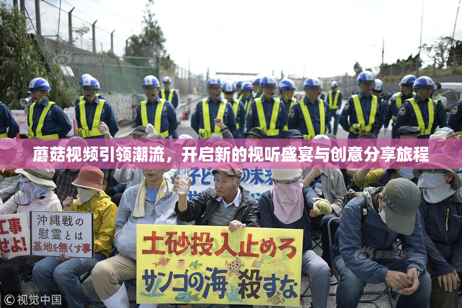 蘑菇视频引领潮流，开启新的视听盛宴与创意分享旅程