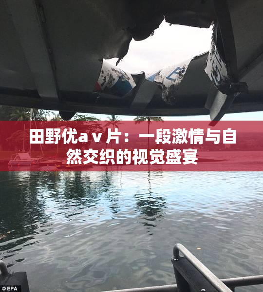 田野优aⅴ片：一段激情与自然交织的视觉盛宴