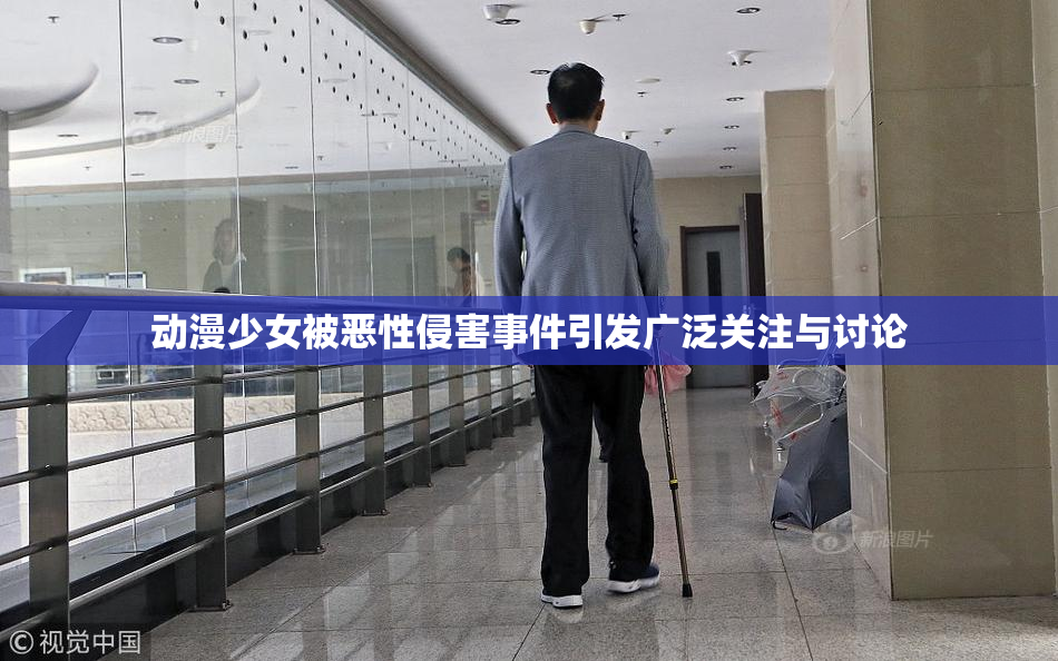 动漫少女被恶性侵害事件引发广泛关注与讨论