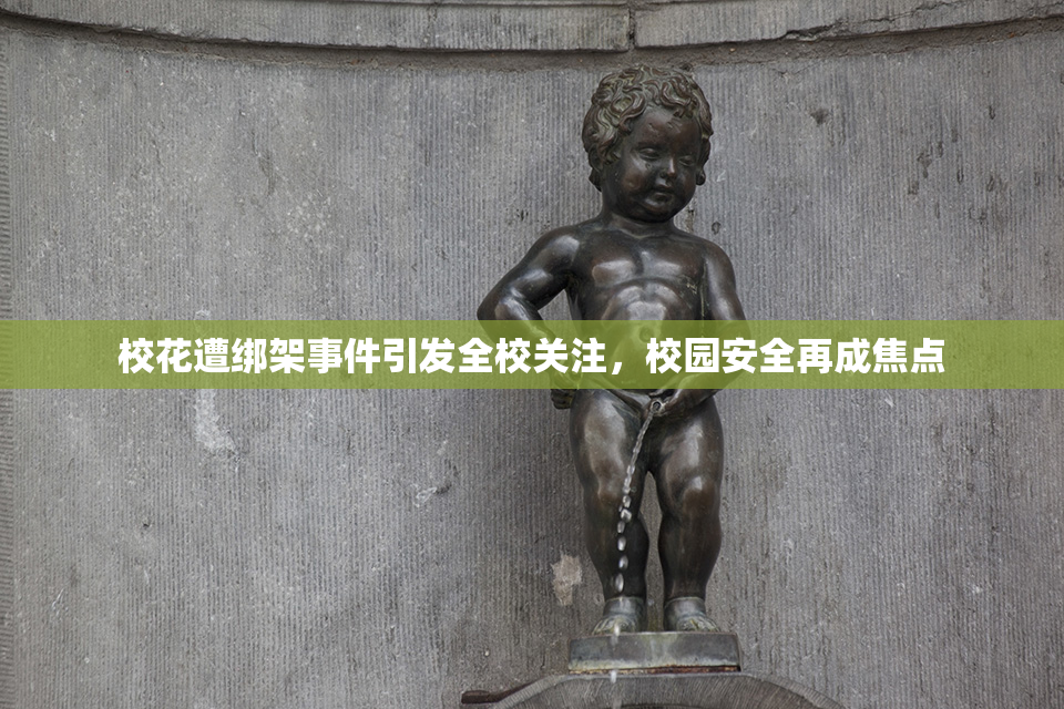校花遭绑架事件引发全校关注，校园安全再成焦点